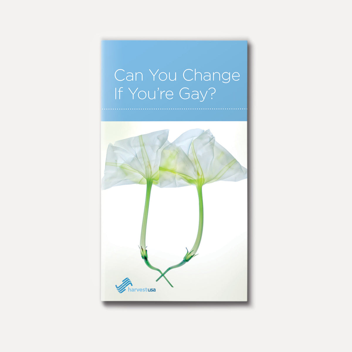 Can You Change If You're Gay? | Stapled | By David White