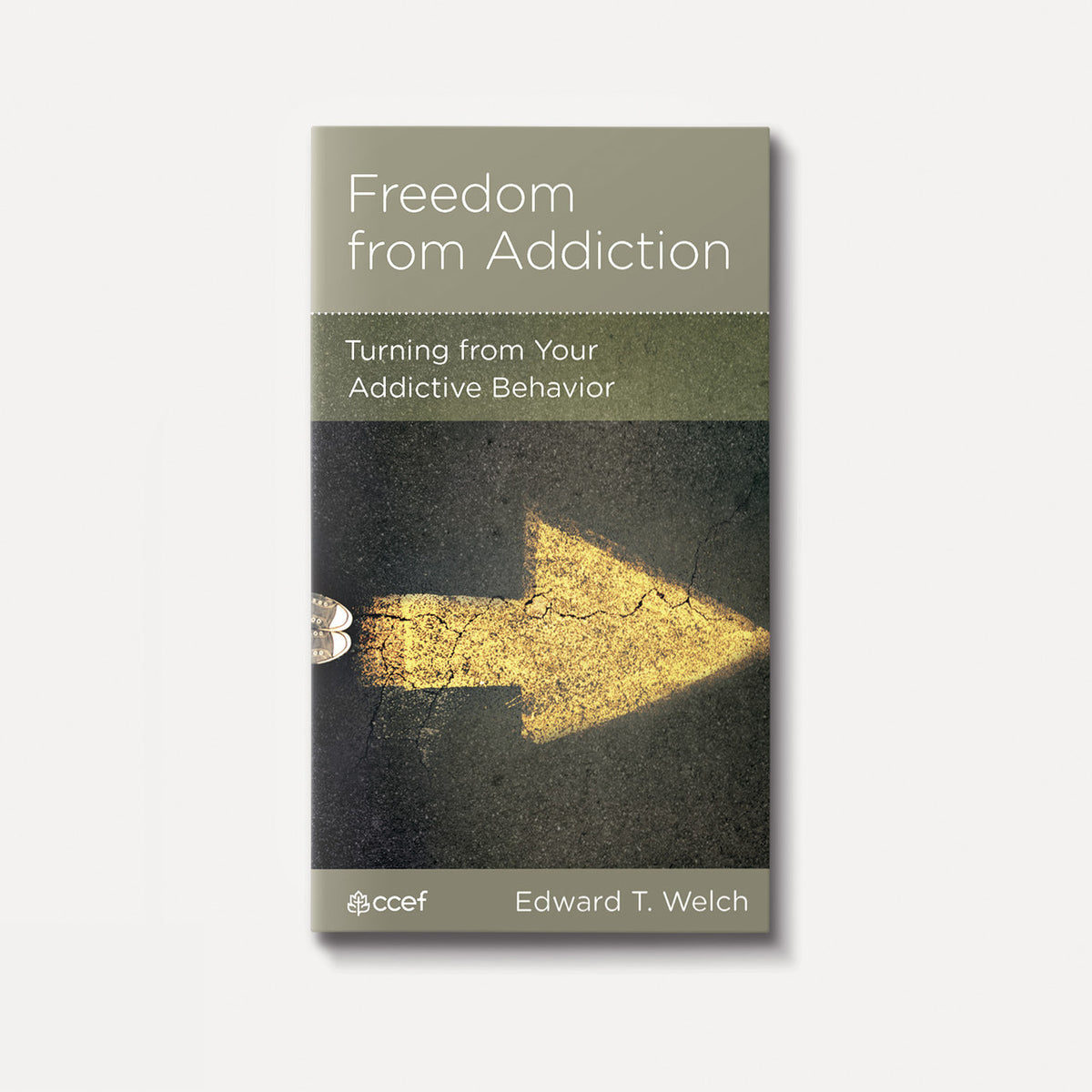 Freedom from Addiction: Turning from Your Addictive Behavior | Stapled | By Edward T. Welch