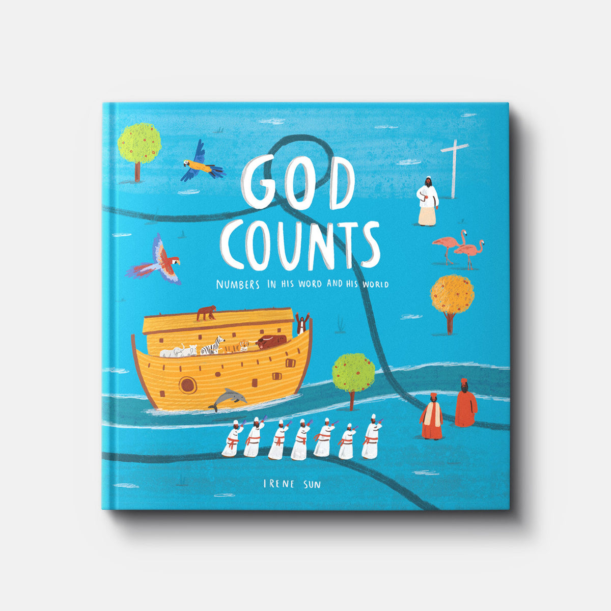 God Counts: Numbers in His Word and His World | Hardback | By Irene Sun