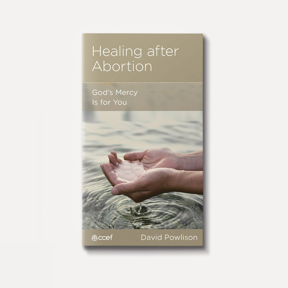 Healing after Abortion: God's Mercy is for You | Stapled | By David Powlison