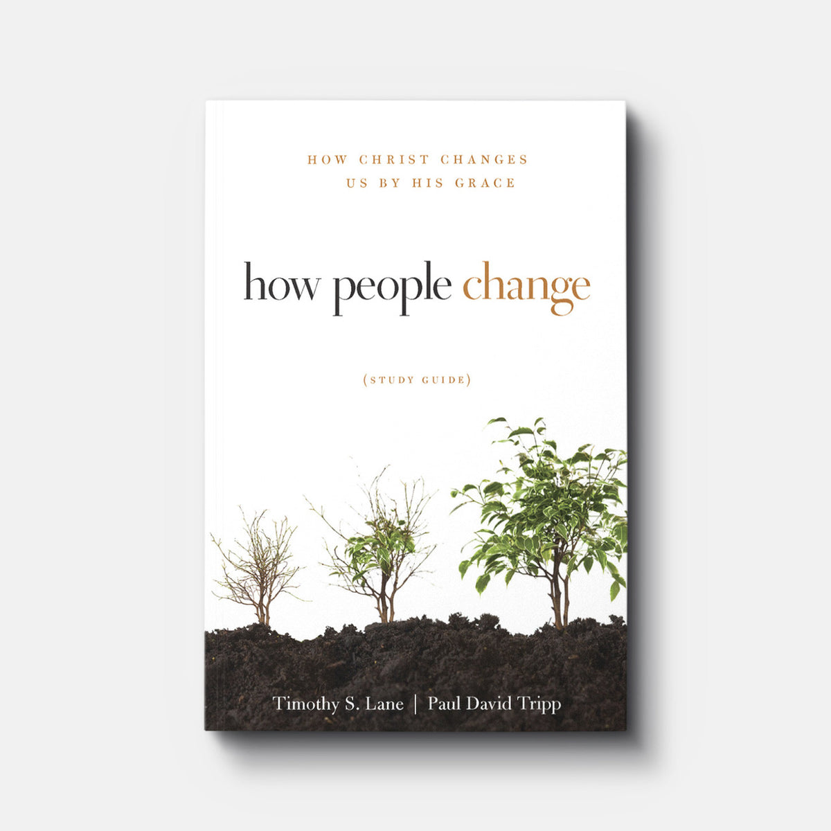 Buy How People Change Study Guide by Paul David Tripp and Timothy S. Lane