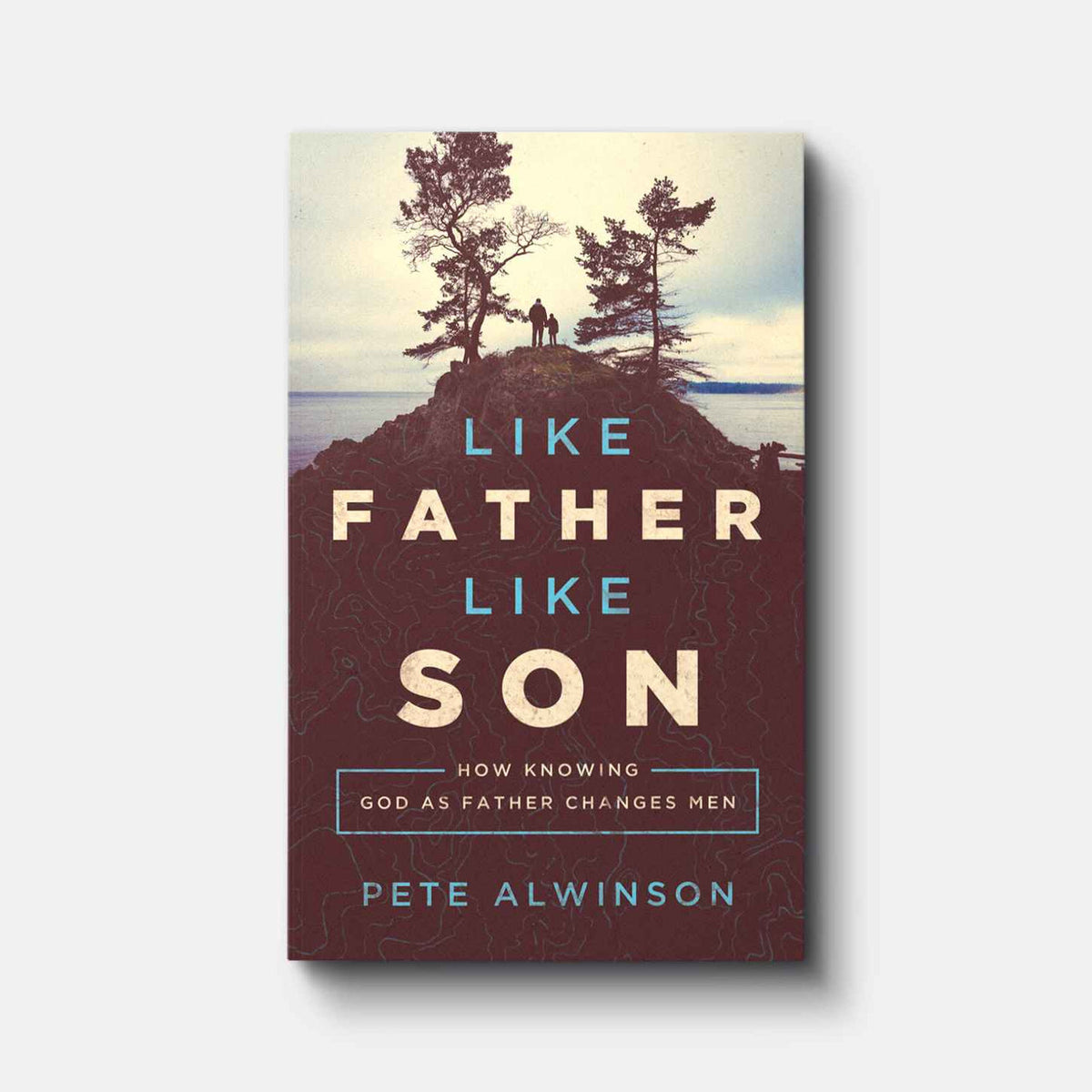 Like Father, Like Son: How Knowing God as Father Changes Men | Paperback | By Pete Alwinson