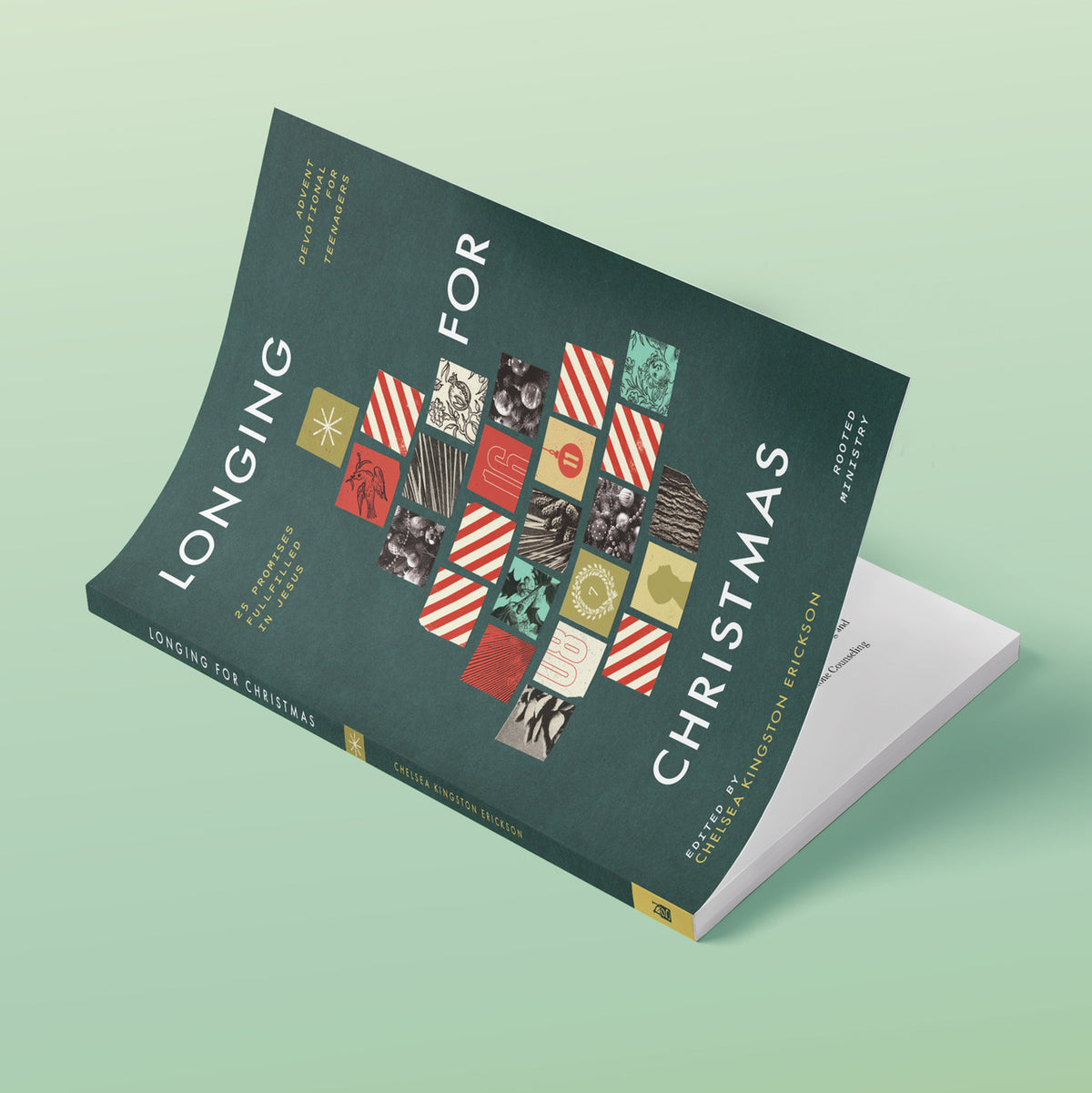 Longing for Christmas: 25 Promises Fulfilled in Jesus, Advent Devotional for Teenagers