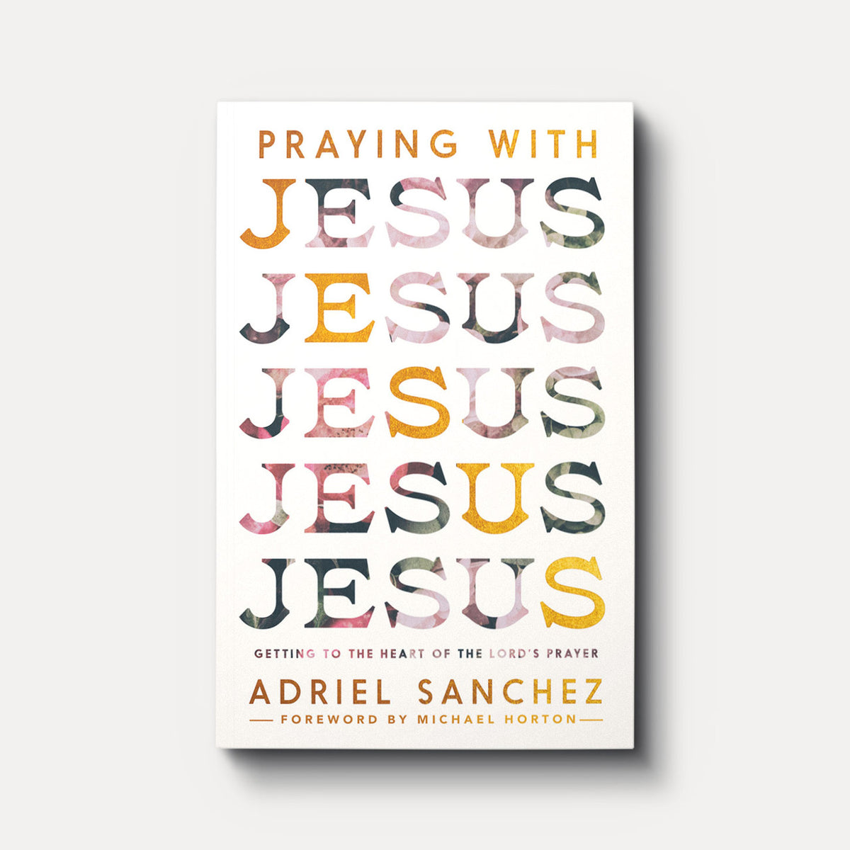 Buy Praying with Jesus by Adriel Sanchez