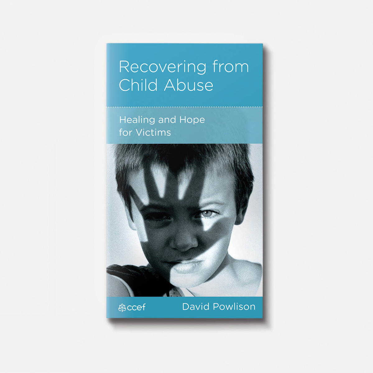 Recovering from Child Abuse: Healing and Hope for Victims | Stapled | By David Powlison