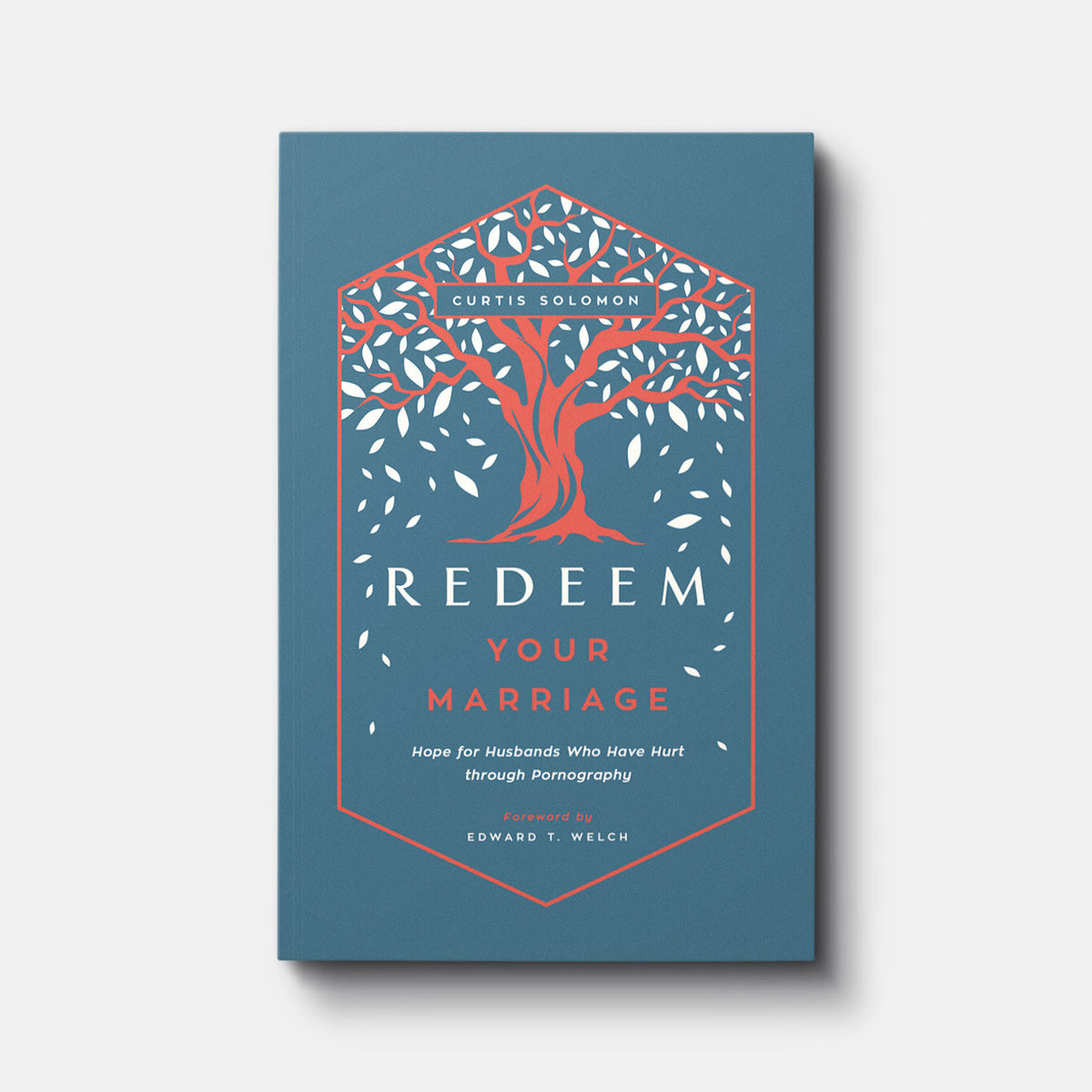 Redeem Your Marriage: Hope for Husbands Who Have Hurt through Pornography | Paperback | By Curtis Solomon