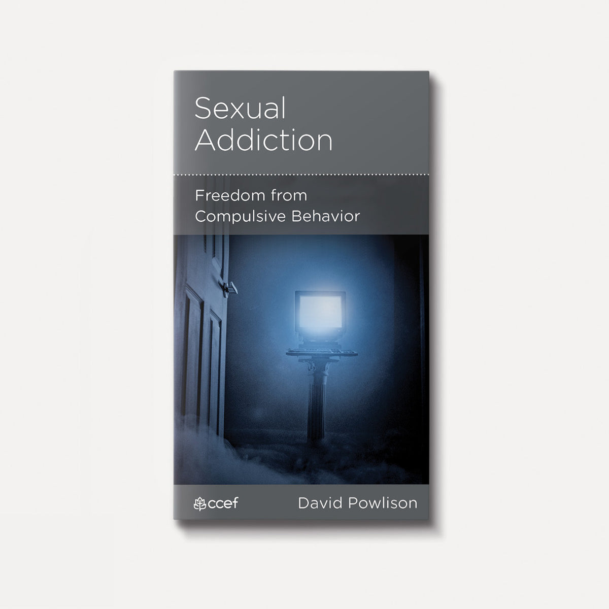 Sexual Addiction: Freedom from Compulsive Behavior | Stapled | By David Powlison
