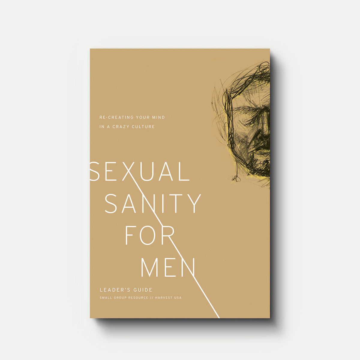 Sexual Sanity for Men: Re-Creating Your Mind in a Crazy Culture eBook (Leader's Guide) | eBook | By David White