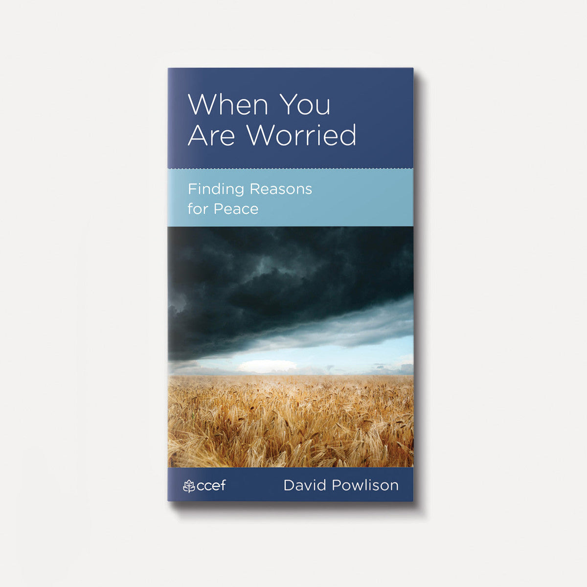 When You Are Worried: Finding Reasons for Peace | eBook | By David Powlison