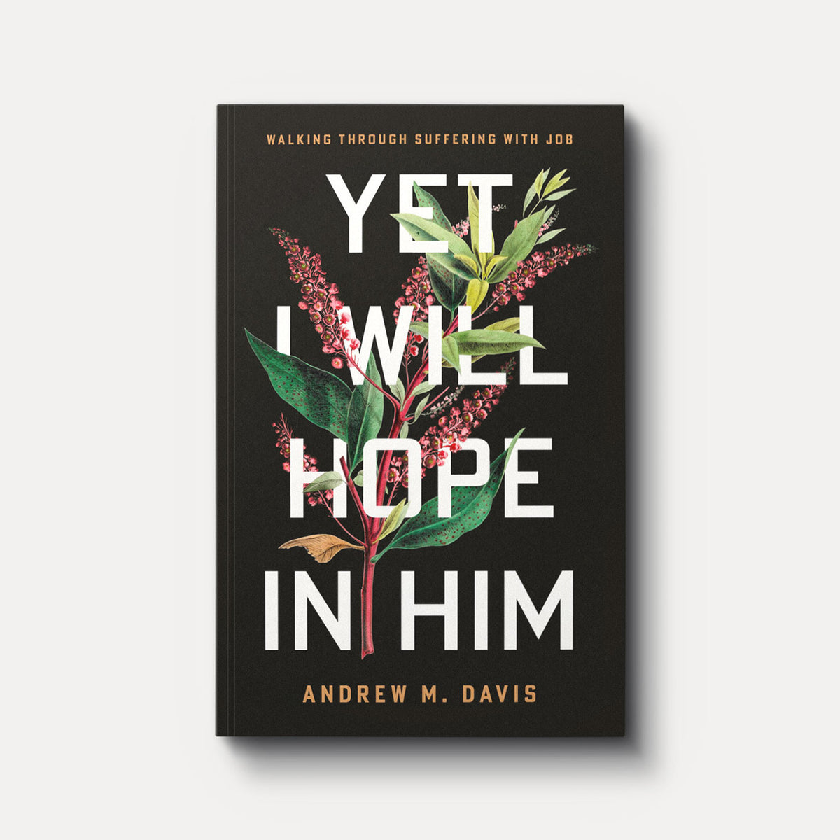 Yet I Will Hope in Him: Walking Through Suffering with Job