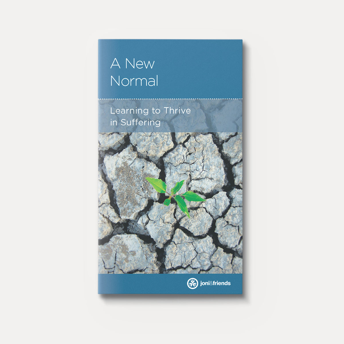 A New Normal: Learning to Thrive in Suffering | Stapled | By Rebecca Olson
