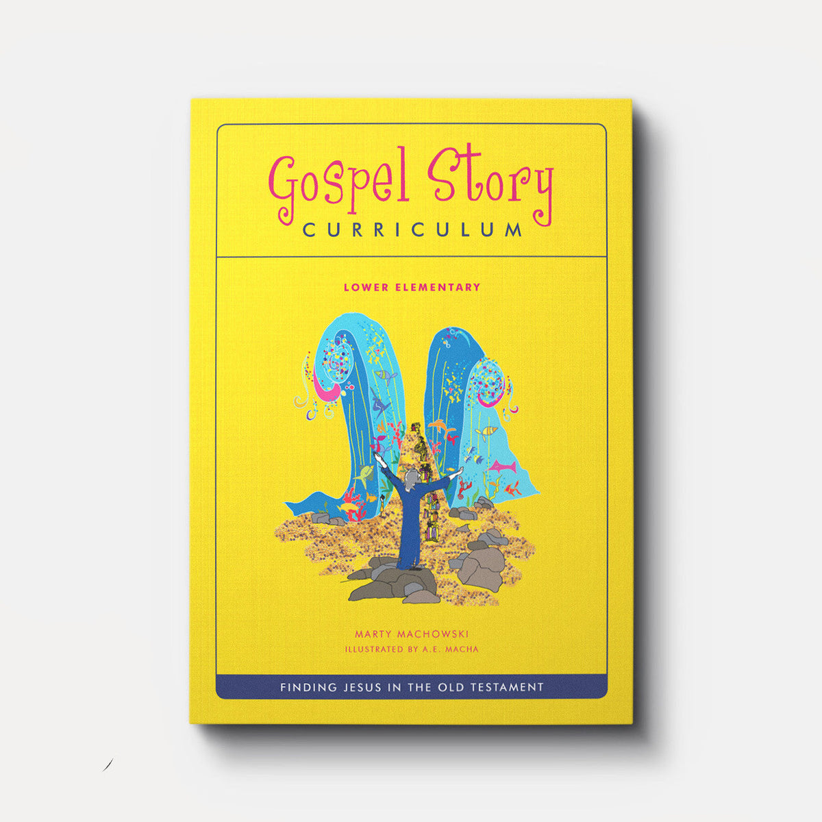 Old Testament Gospel Story Curriculum (Lower Elementary) | USB Drive | By Marty Machowski