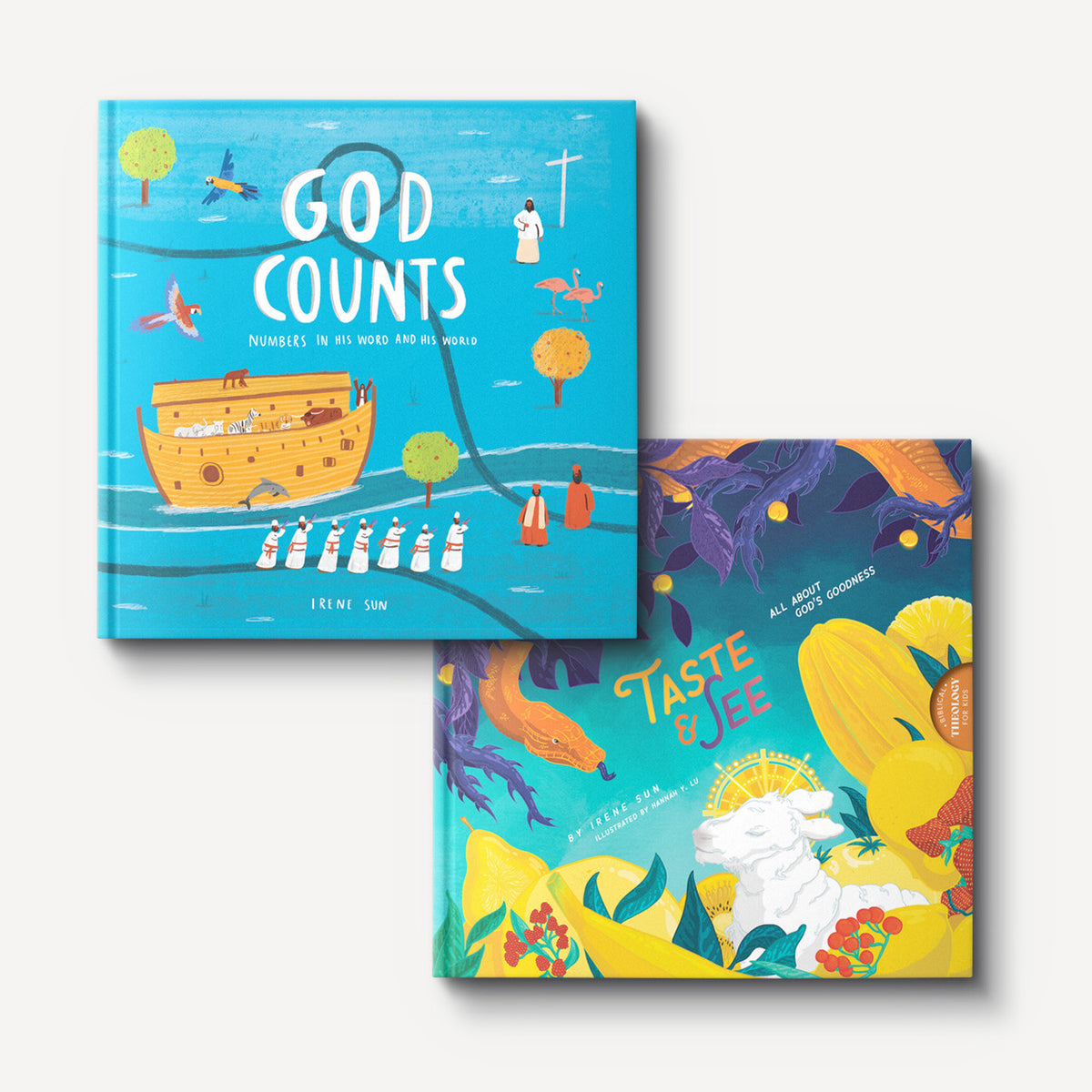Biblical Theology for Kids Duo by Irene Sun