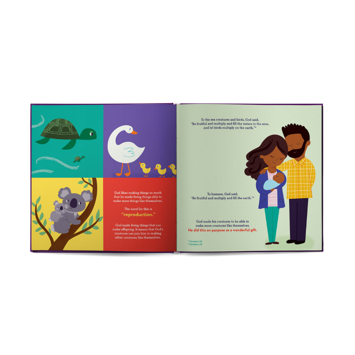 God Made Babies: Helping Parents Answer the Baby Question