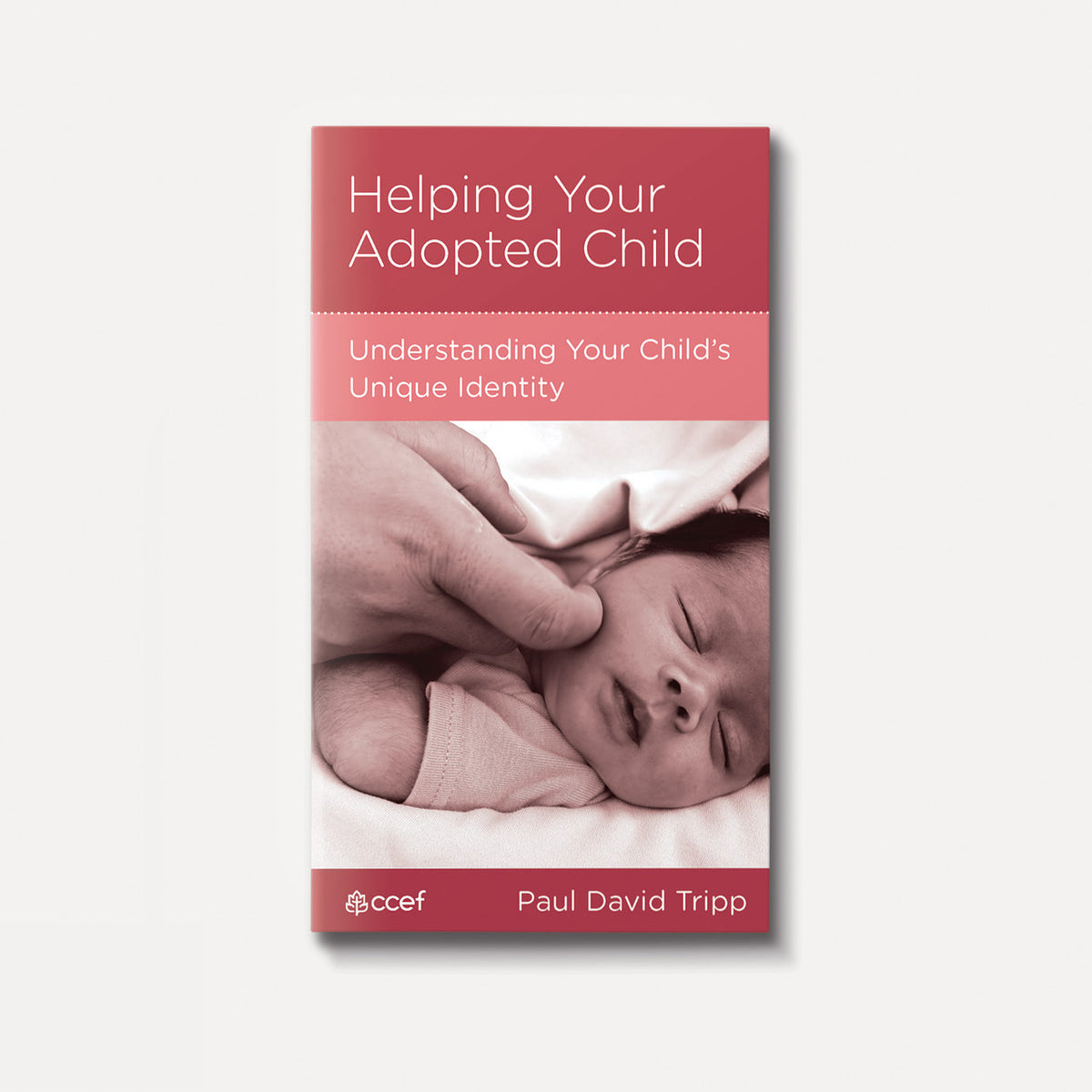 Helping Your Adopted Child: Understanding Your Child's Unique Identity | Stapled | By Paul David Tripp