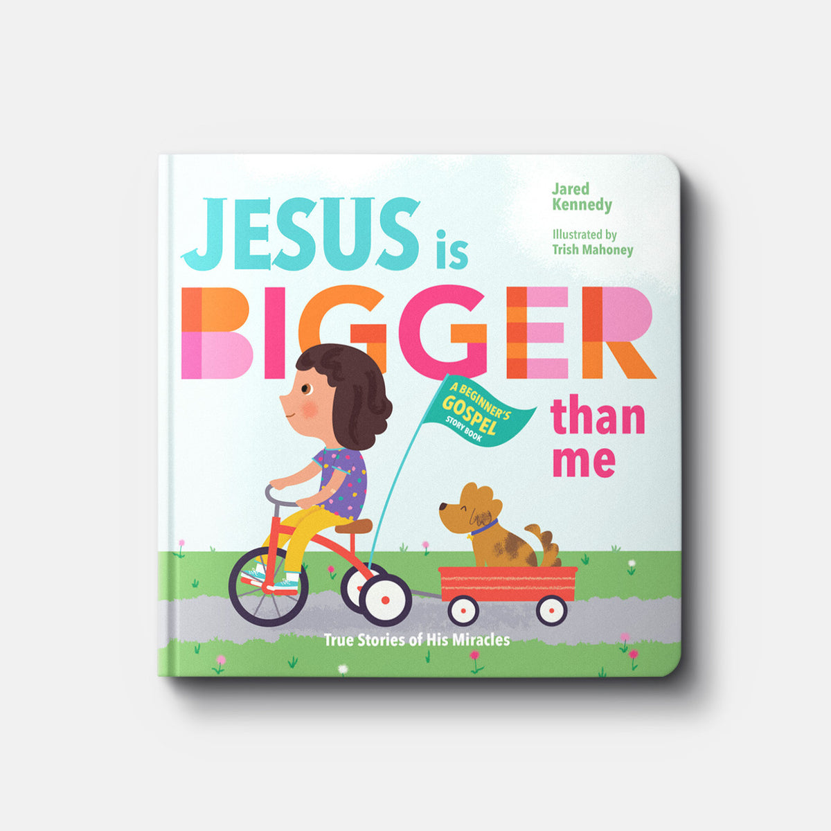 Jesus Is Bigger Than Me: True Stories of His Miracles | Board book | By Jared Kennedy