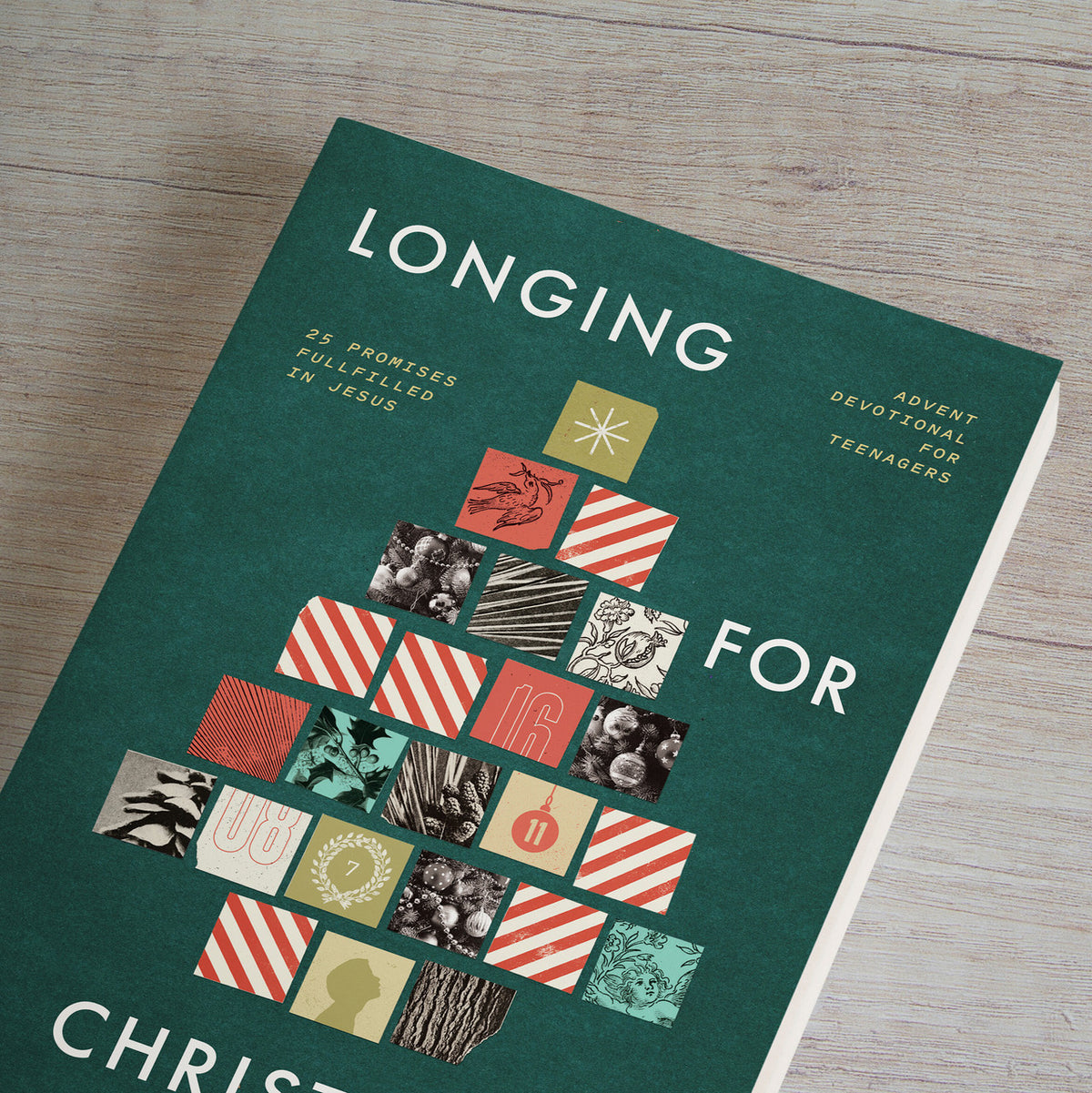 Longing for Christmas: 25 Promises Fulfilled in Jesus, Advent Devotional for Teenagers