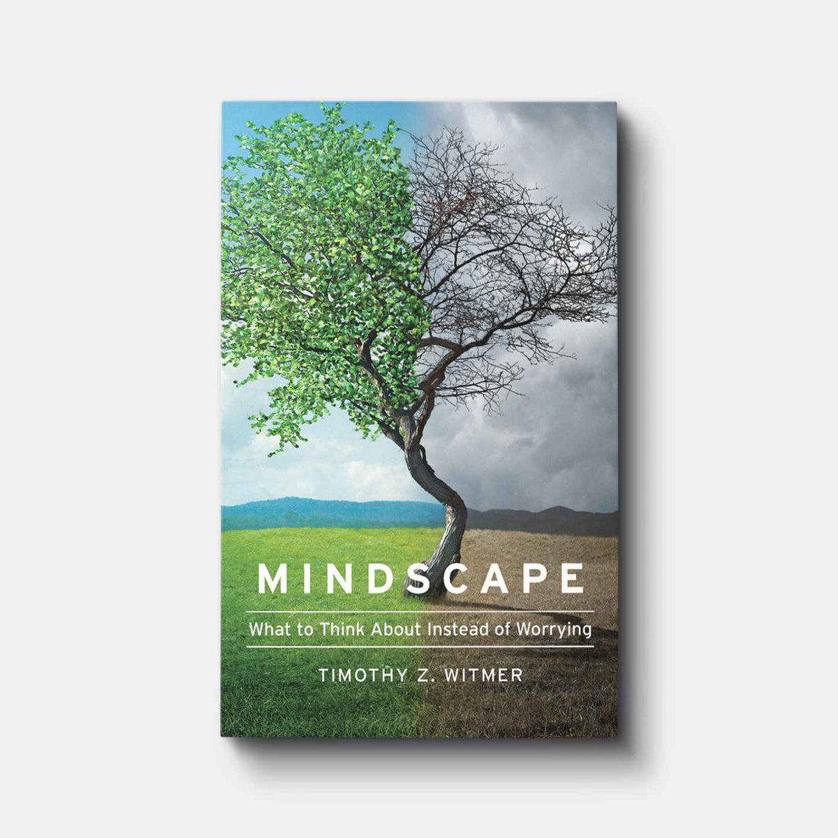 Mindscape: What to Think about Instead of Worrying | Leather Touch | By Timothy Z. Witmer