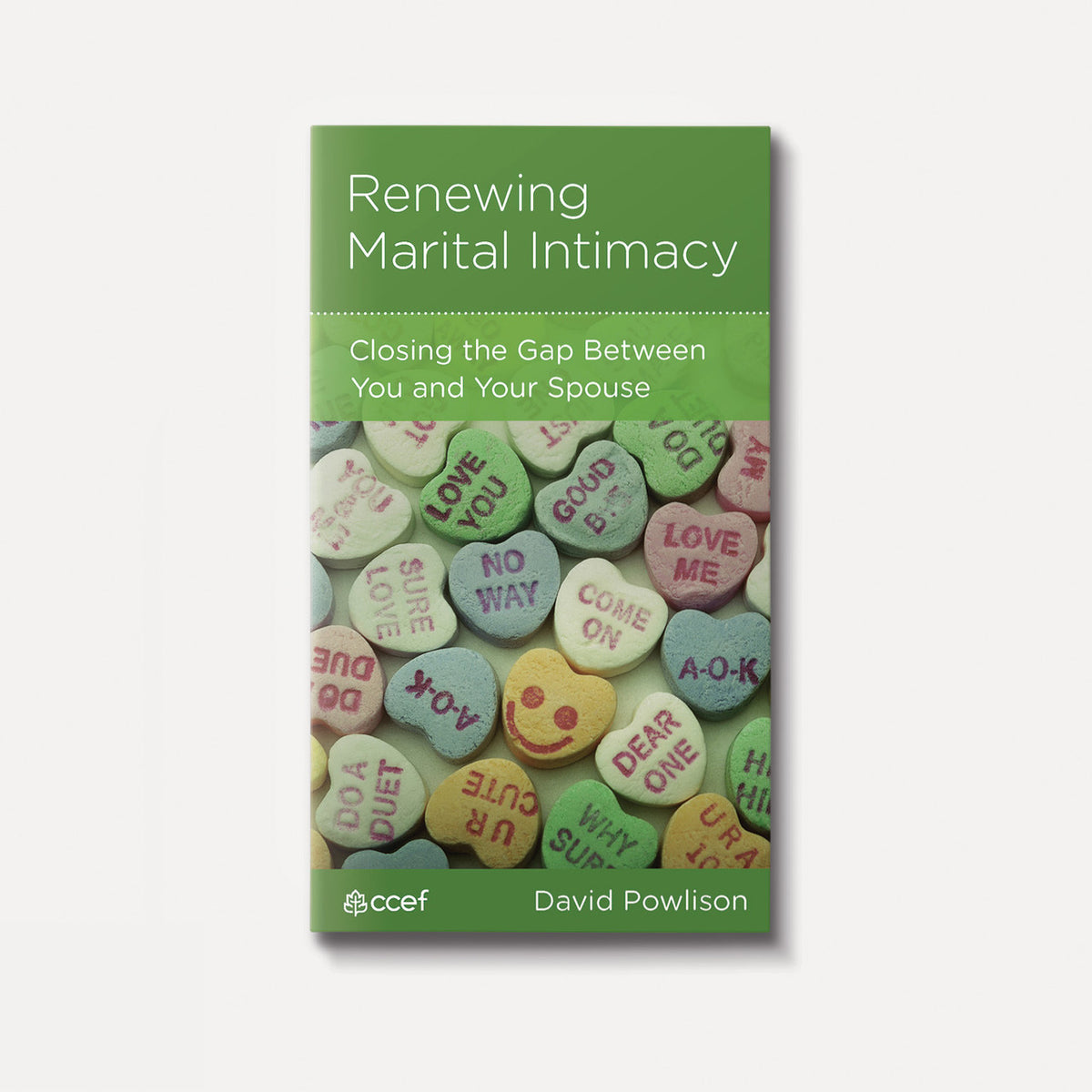 Renewing Marital Intimacy: Closing the Gap Between You and Your Spouse | Stapled | By David Powlison