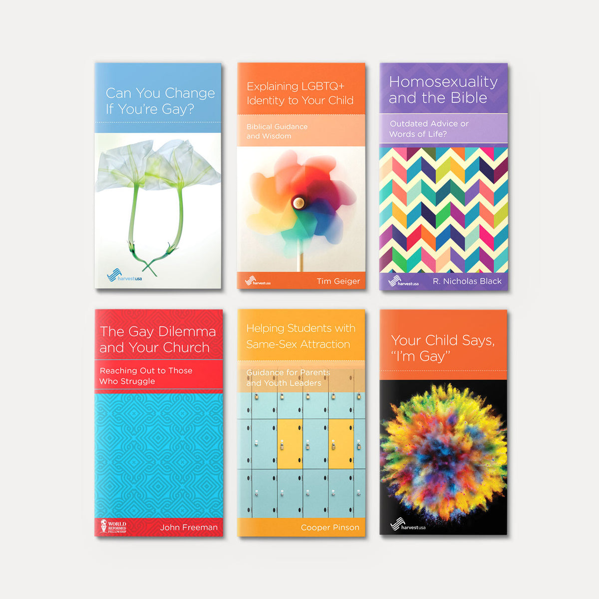 Sexual Identity Minibook Sample Pack