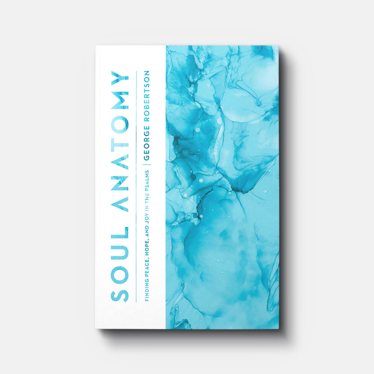 Soul Anatomy: Finding Peace, Hope, and Joy in the Psalms | Paperback | By George Robertson