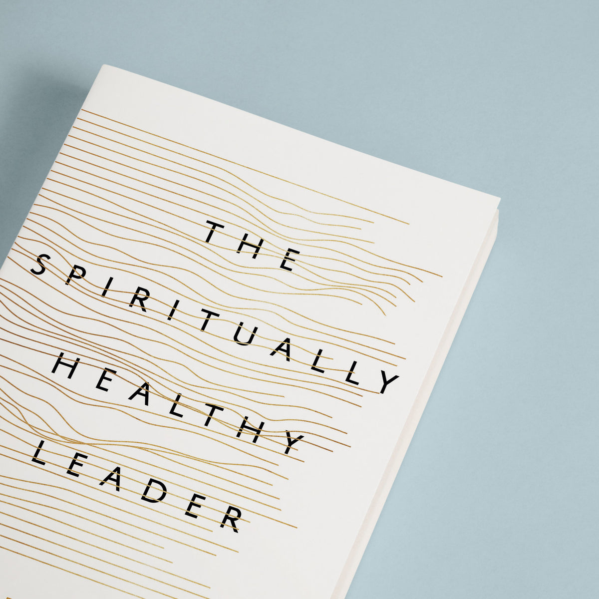 The Spiritually Healthy Leader: Finding Freedom from Self-Sabotage