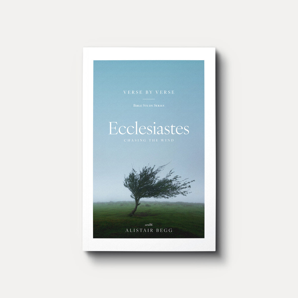 Ecclesiastes: Chasing the Wind (Verse by Verse)