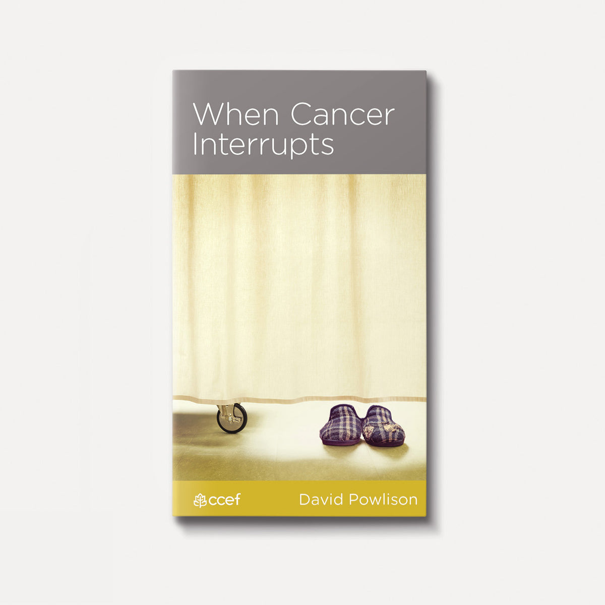 When Cancer Interrupts | Stapled | By David Powlison