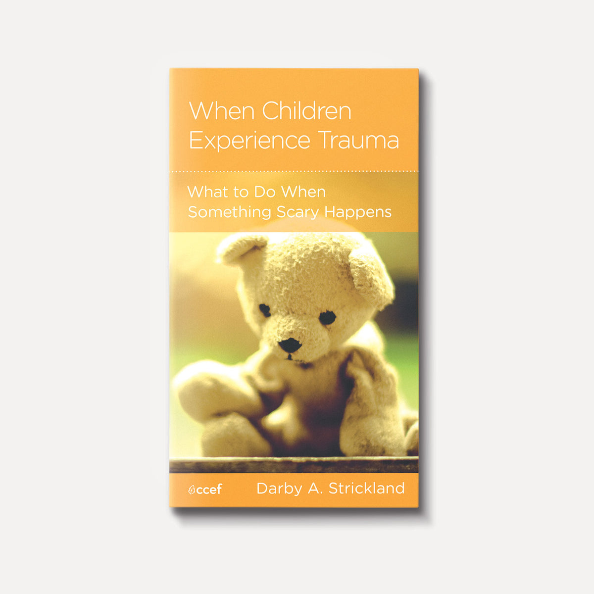 Buy When Children Experience Trauma by Darby A. Strickland