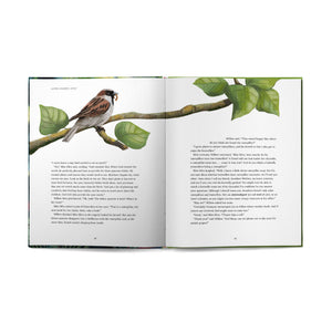 Where Wonder Leads: An Adventure in God’s Wild and Wonderful World