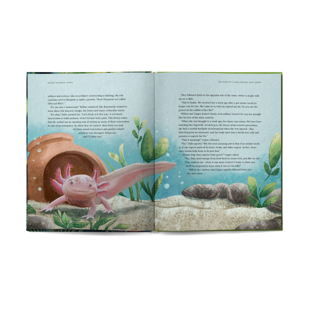 Where Wonder Leads: An Adventure in God’s Wild and Wonderful World