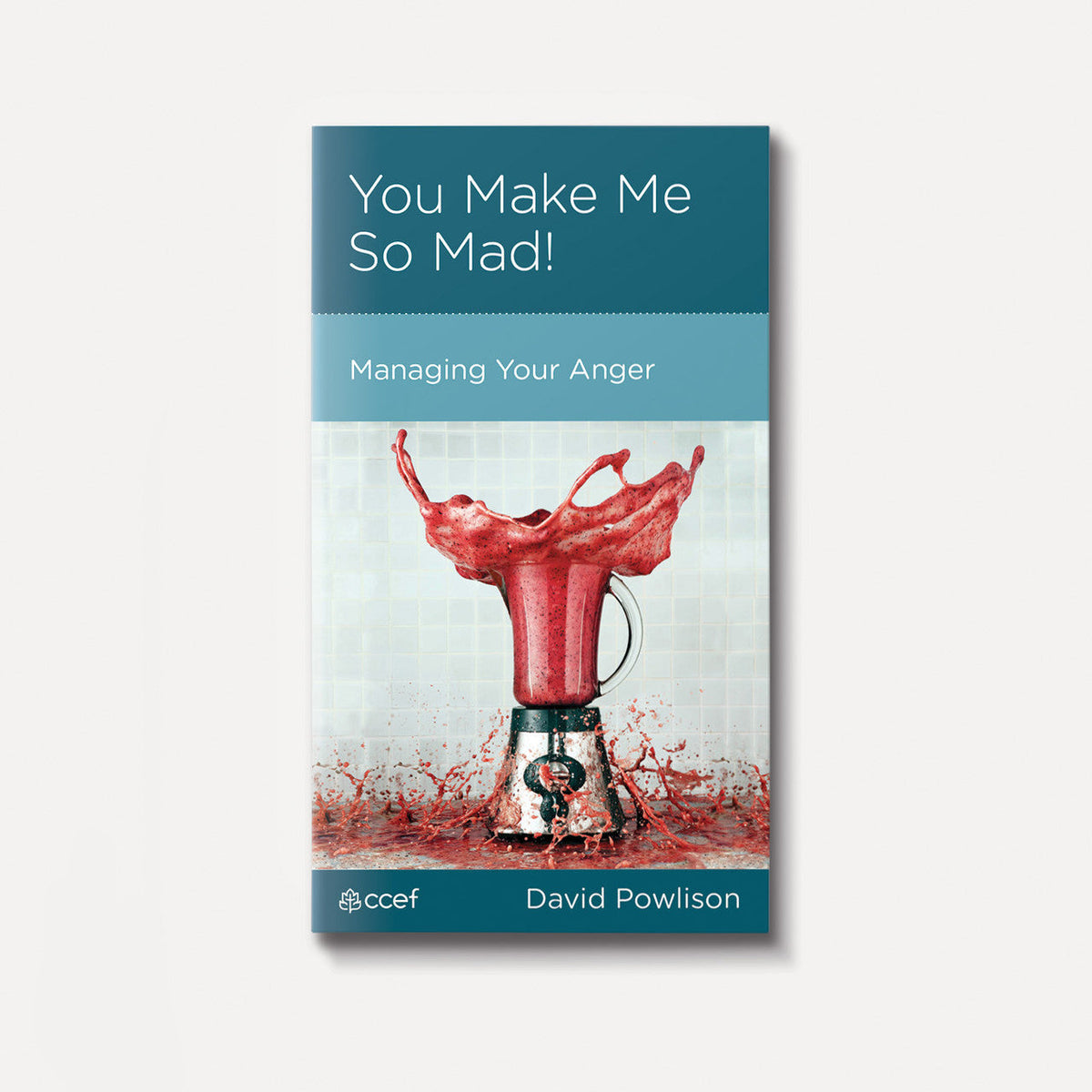 You Make Me So Mad! Managing Your Anger | eBook | By David Powlison