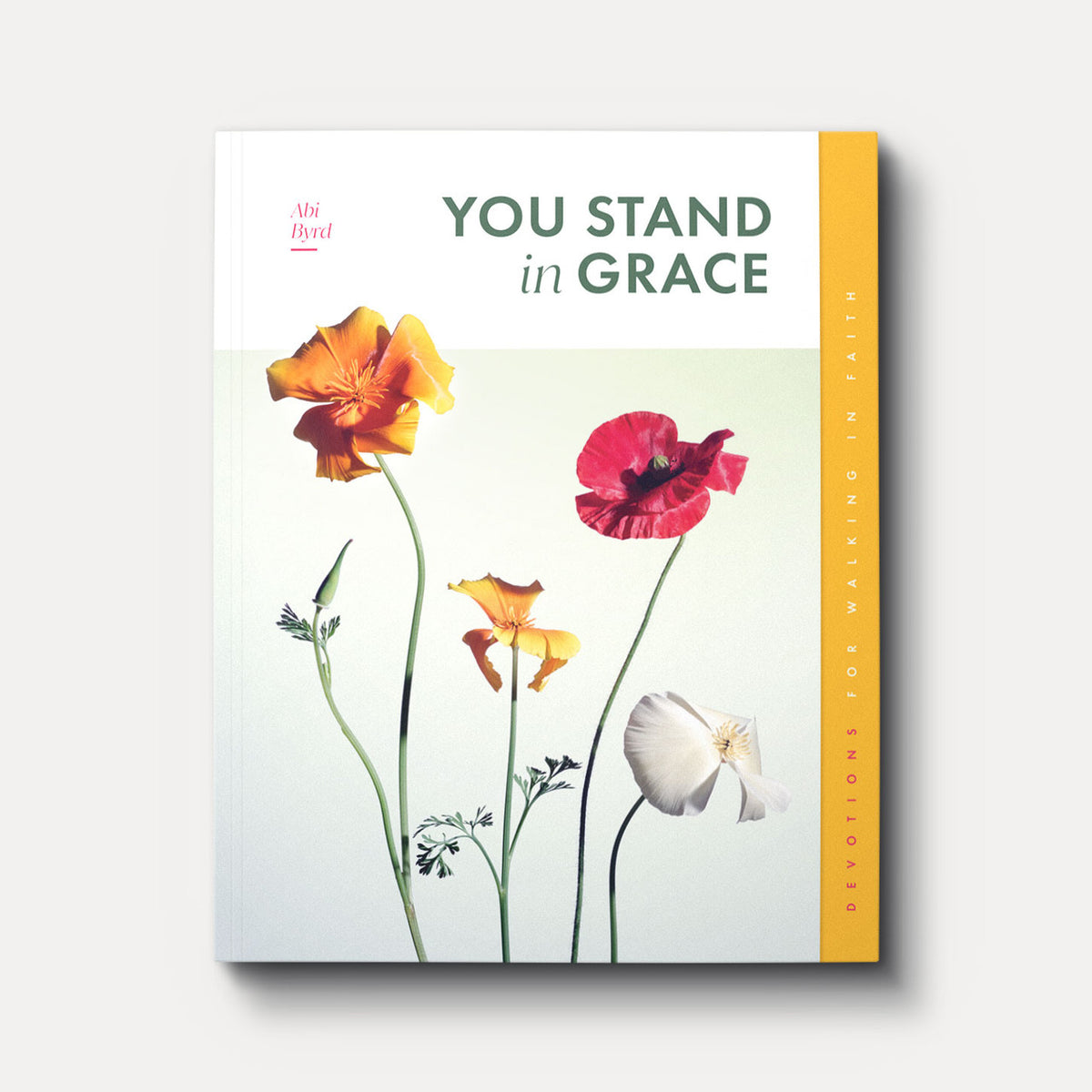 You Stand in Grace: Devotions for Walking in Faith