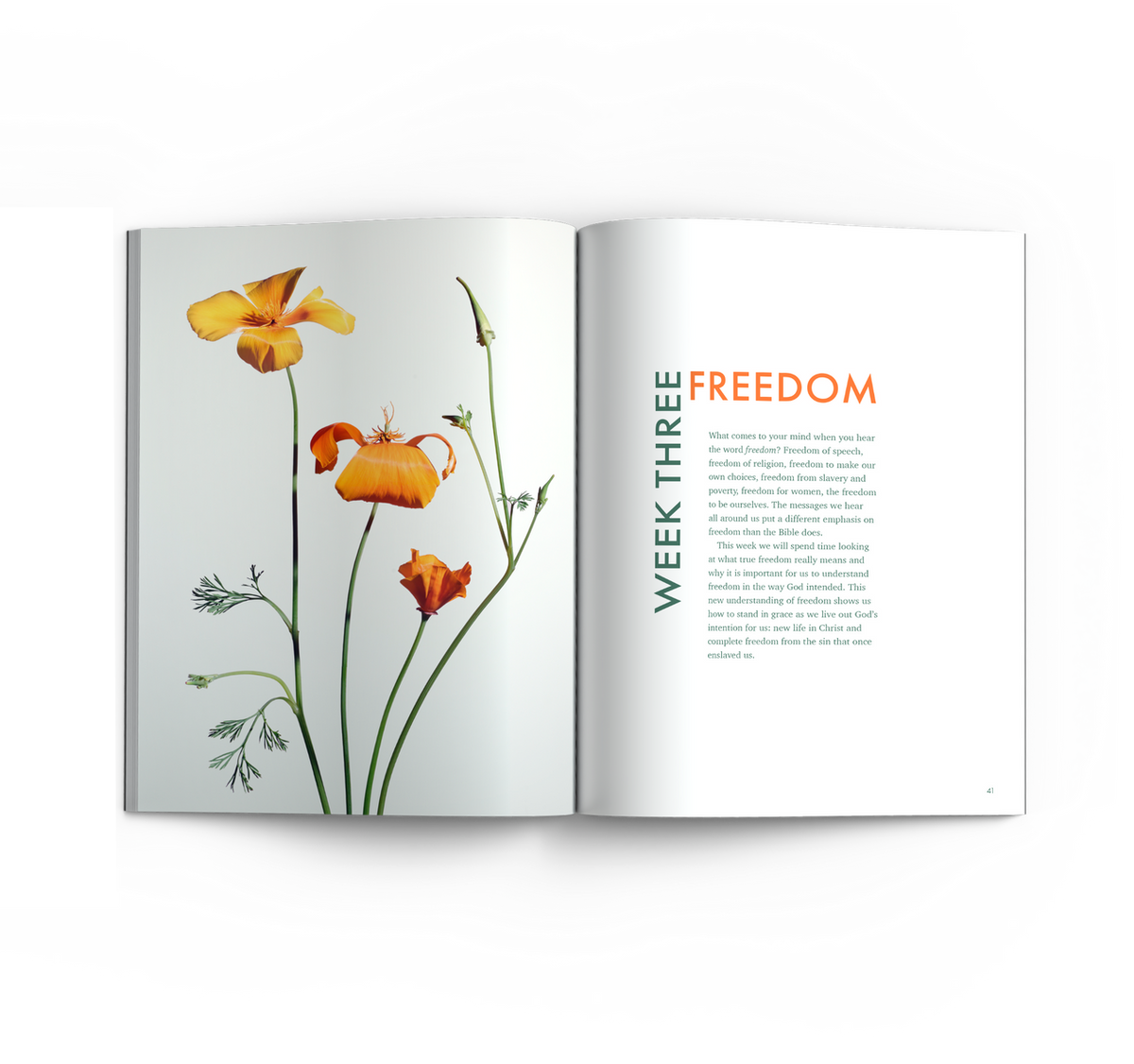 You Stand in Grace: Devotions for Walking in Faith