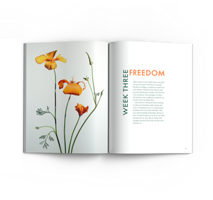 You Stand in Grace: Devotions for Walking in Faith